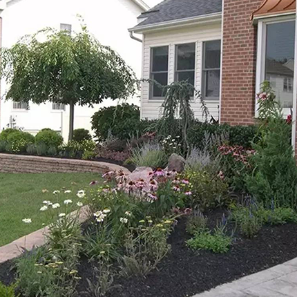 Lawn Care Experts at Classic Green Lawns