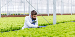 Lawn Service with Well-Maintained Lawn