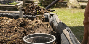 Detailed menu of lawn care services offered by Classic Green Lawns