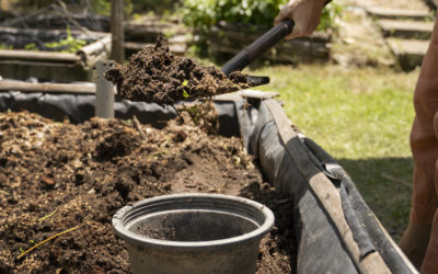 The Benefits of Organic Lawn Care: A Greener Approach for Your Yard