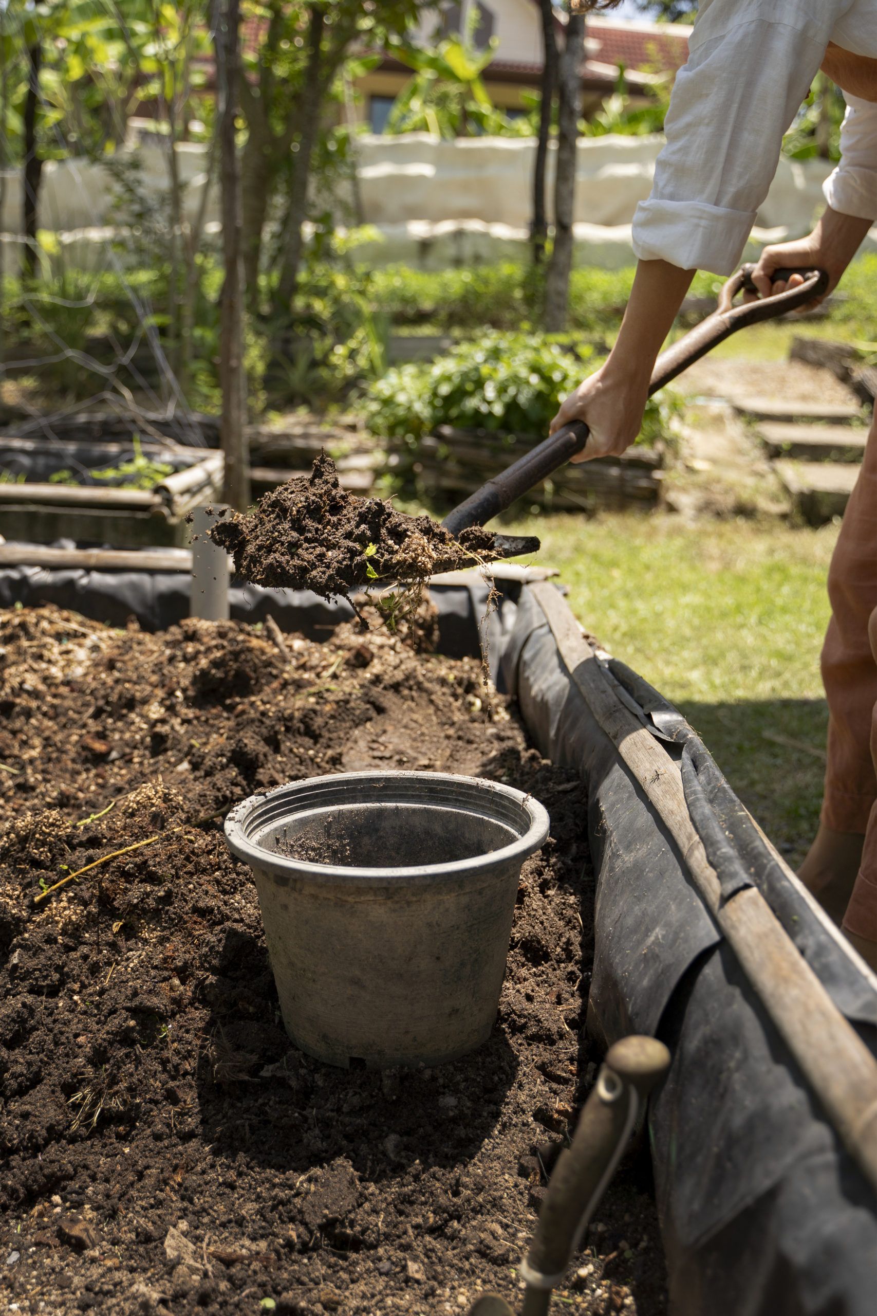 Detailed menu of lawn care services offered by Classic Green Lawns