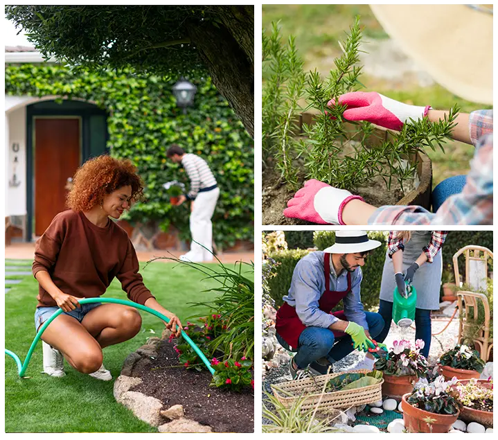 Classic Green Lawns Team Working Together