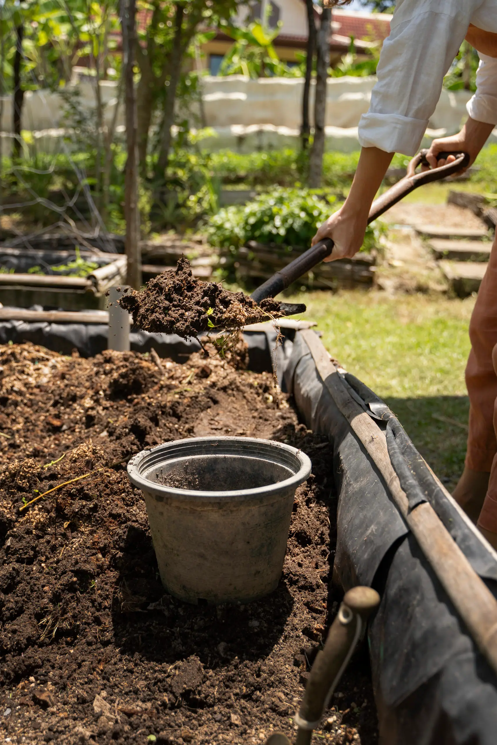 Detailed menu of lawn care services offered by Classic Green Lawns